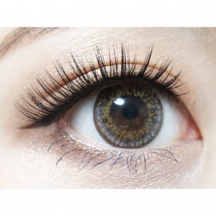 RICH STANDARD MuchBrown 日拋10片裝